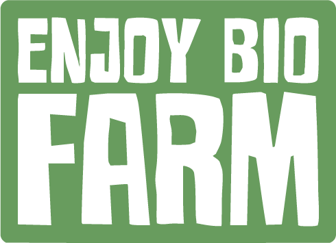 Questo è il primo articolo